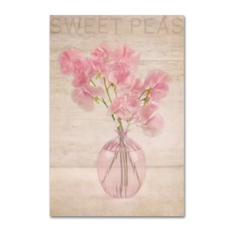 Cora Niele 'Pink Sweet Peas' Canvas Art,16x24